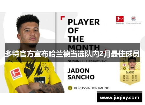 多特官方宣布哈兰德当选队内2月最佳球员